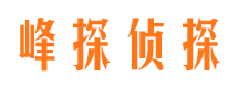 文山找人公司